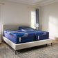 All New! Sealy Posturepedic® Elite Albany II 14" Firm Mattress