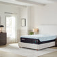 ALL NEW! 2024 Tempur-Pedic TEMPUR-ProAdapt® 12" Medium Hybrid Mattress