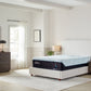 ALL NEW! 2024 Tempur-Pedic TEMPUR-ProAdapt® 12" Soft Mattress