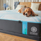 TEMPUR-LUXEbreeze° Medium Hybrid Mattress 2023