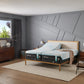 TEMPUR-PRObreeze° Medium Hybrid Mattress 2023