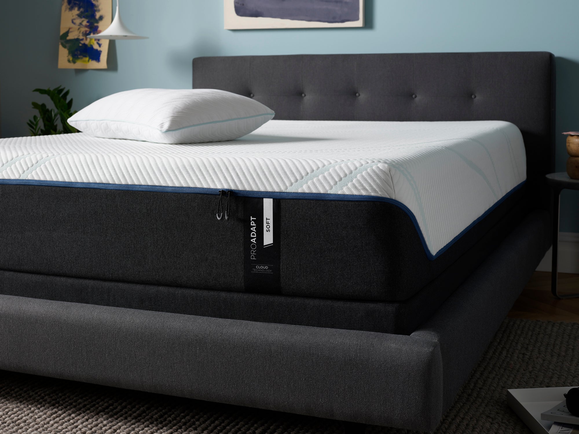 Soft store cloud mattress