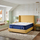 Stearns & Foster Studio Euro Pillow Top Medium Mattress