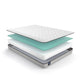 Sealy Essentials Spruce 5.5" Firm Mattress