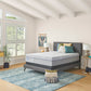 Sealy Posturepedic Silver Pine 15" Medium Euro Top Mattress