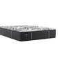 Sealy Posturepedic® Plus Exuberant II 14" Firm Mattress