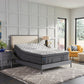 Sealy Posturepedic® Plus Satisfied II 14" Plush Euro Top Mattress