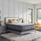 Sealy Posturepedic® Plus Satisfied II 14" Plush Euro Top Mattress