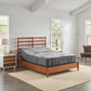 Sealy Posturepedic® Plus Satisfied II 12" Ultra Firm Mattress