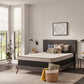 Sealy Essentials Spruce 5.5" Firm Mattress