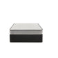 Sealy Essentials Spruce 5.5" Firm Mattress