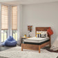 Sealy Essentials Spruce 5.5" Firm Mattress