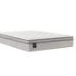 Sealy Essentials Winter Green 13" Plush Euro Pillow Top Mattress