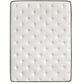 Sealy Essentials Winter Green 13" Plush Euro Pillow Top Mattress