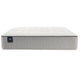 Sealy Essentials Winter Green 12" Medium Euro Top Mattress