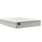 Sealy Essentials Winter Green 12" Medium Euro Top Mattress